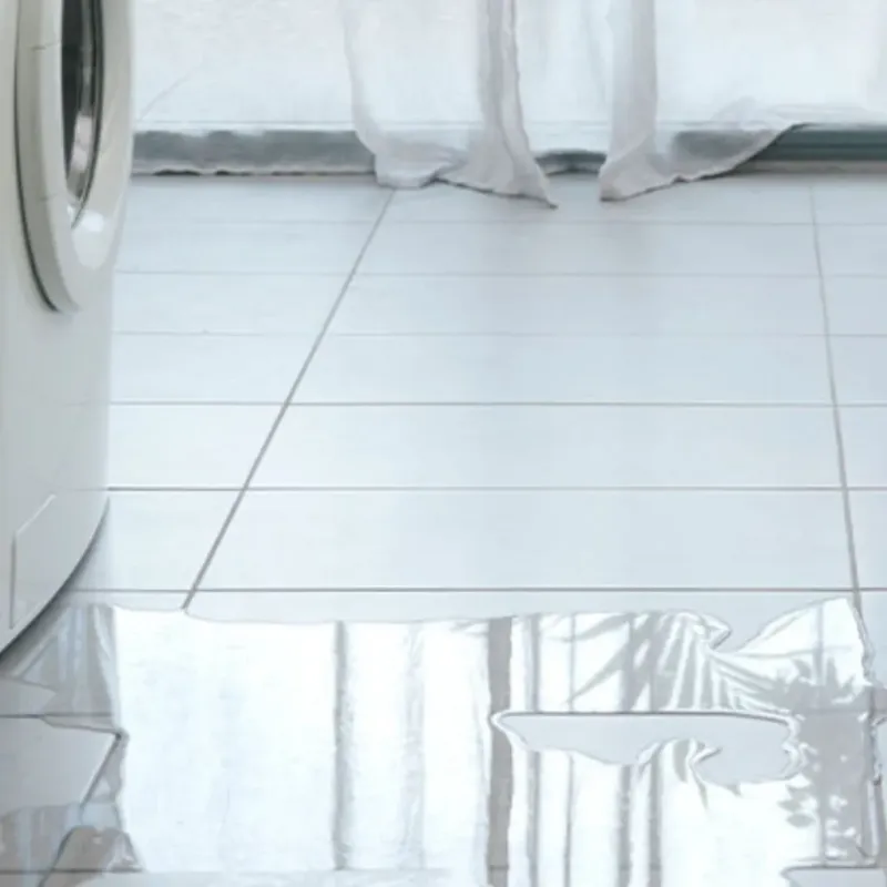 Appliance Leak Cleanup in Reedsville, WI