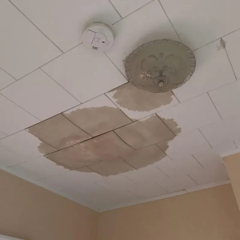 Ceiling Water Damage Repair in Reedsville, WI