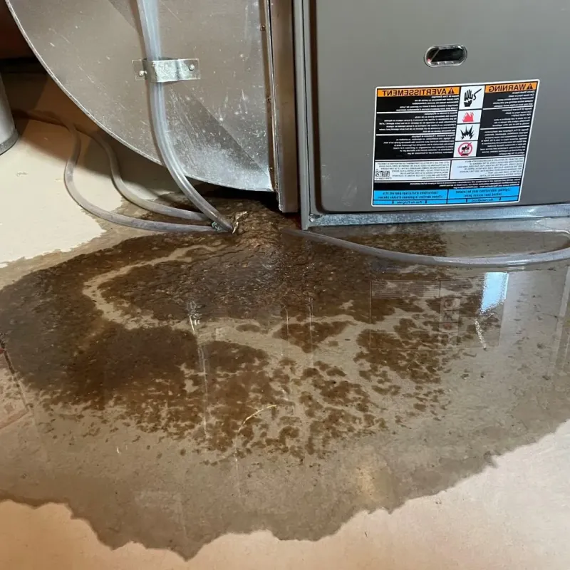 Pipe Burst and Leak Restoration in Reedsville, WI