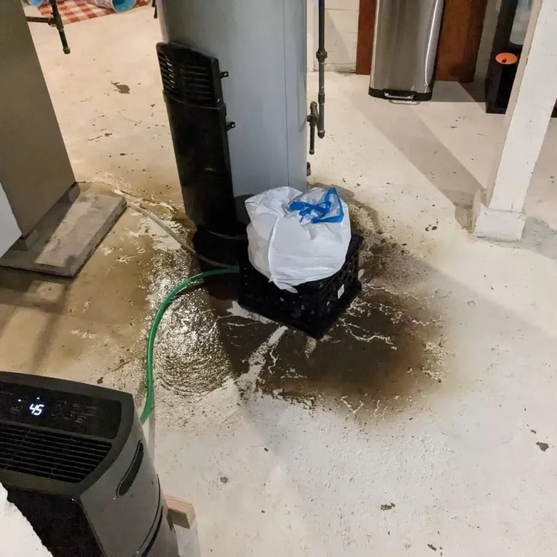 Sewage Backup Cleanup Service in Reedsville, WI